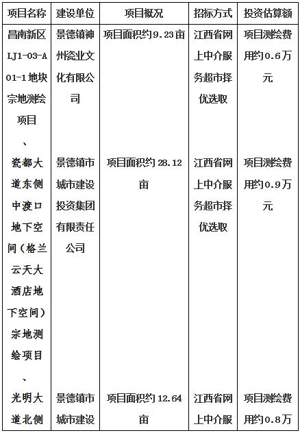 景德鎮(zhèn)市昌南新區(qū)LJ1-03-A01-1地塊、瓷都大道東側(cè)中渡口地下空間（格蘭云天大酒店地下空間）、光明大道北側(cè)利民路西側(cè)地下空間（青少年宮地下空間）、規(guī)劃二路北側(cè)地下空間地塊二（加速基地地下空間）、規(guī)劃二路北側(cè)地下空間地塊一（加速基地地下空間）、景德大道南側(cè)天寶橋西側(cè)地塊、景興大道東側(cè)如意路北側(cè)地下空間(社會(huì)公共服務(wù)