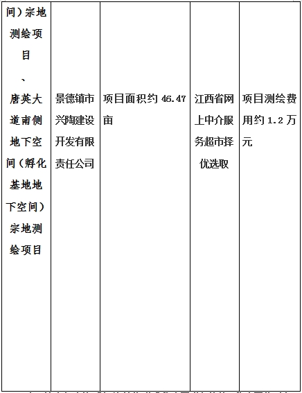 景德鎮(zhèn)市昌南新區(qū)LJ1-03-A01-1地塊、瓷都大道東側(cè)中渡口地下空間（格蘭云天大酒店地下空間）、光明大道北側(cè)利民路西側(cè)地下空間（青少年宮地下空間）、規(guī)劃二路北側(cè)地下空間地塊二（加速基地地下空間）、規(guī)劃二路北側(cè)地下空間地塊一（加速基地地下空間）、景德大道南側(cè)天寶橋西側(cè)地塊、景興大道東側(cè)如意路北側(cè)地下空間(社會(huì)公共服務(wù)
