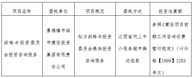 戰(zhàn)略與投資委員會(huì)投資咨詢(xún)服務(wù)計(jì)劃公告　　